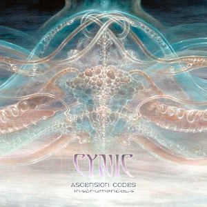 Image for 'Ascension Codes Instrumentals'