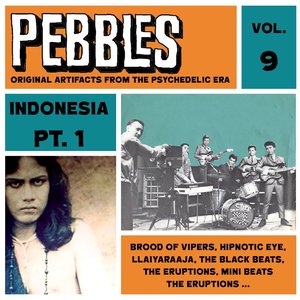 Image for 'Pebbles Vol. 9, Indonesia Pt. 1, Originals Artifacts from the Psychedelic Era'