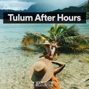 Image for 'Tulum After Hours'