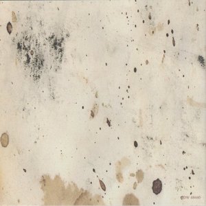 Image for 'Shadows Collide with People (Acoustic Versions)'
