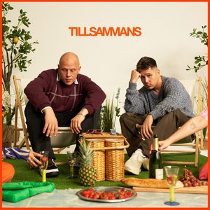 “Tillsammans”的封面