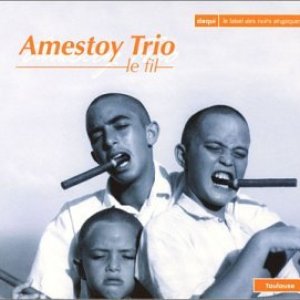 Bild för 'Amestoy trio'