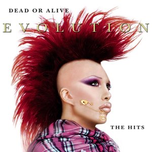 Изображение для 'Evolution: The Hits'