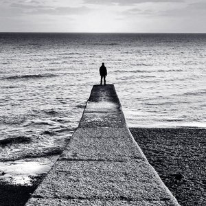 Immagine per 'Moow'