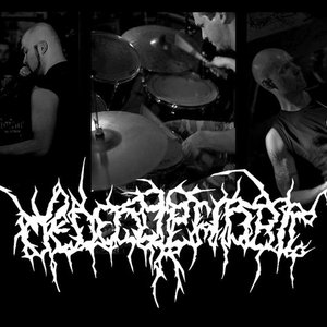 Image for 'Medecophobic'