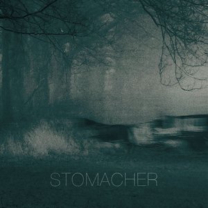 Image for 'Stomacher'