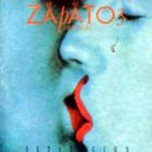 Image for 'Zapato3'