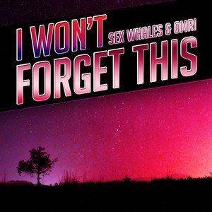 Immagine per 'I Won't Forget This'