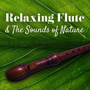 Изображение для 'Relaxing Flute & The Sounds of Nature (Amazing Flute Music for Meditation Session, Spa, Massage, Sound Therapy with Sea, Forest & Birds)'