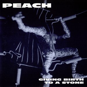 “Giving Birth to a Stone”的封面