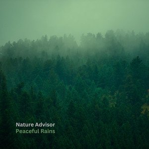 'Slumber Night Rains'の画像