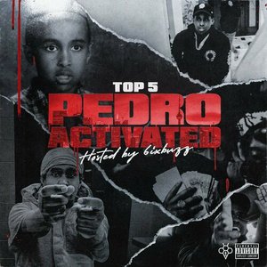Image for 'Pedro Activated'