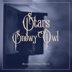 Image for 'Snowy Owl (Benjamin Gibbard Remix)'