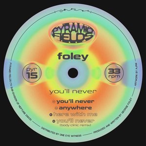 Изображение для 'You'll Never'