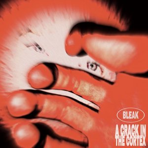 “A Crack in the Cortex”的封面