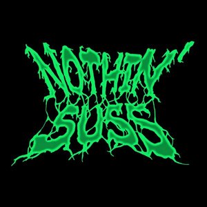 Image for 'Nothin' Suss'