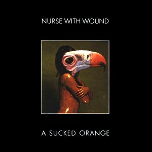 “A Sucked Orange”的封面