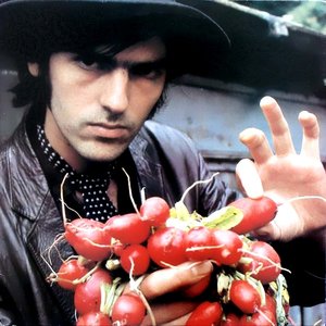 Image for 'Robyn Hitchcock'
