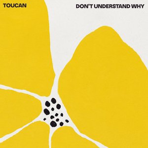 Image pour 'Don't Understand Why'