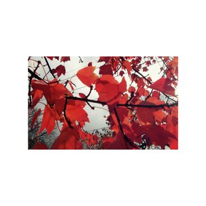 “Fūrin”的封面