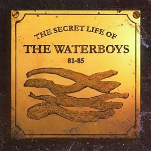 Imagen de 'The Secret Life of the Waterboys 81-85'