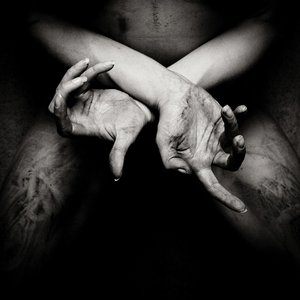 Image for 'X - varg utan flock (Deluxe Edition)'