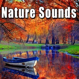 Image for 'Nature Sounds'