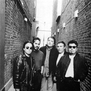 Image pour 'Los Lobos'