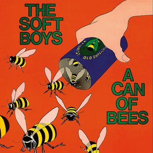 Image for 'A Can of Bees'