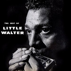 Bild für 'The Best of Little Walter'