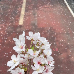 Divyasingh05