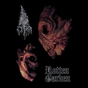 Zdjęcia dla 'Rotting Garden'