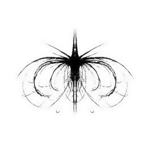 Image for 'avatar / anima'