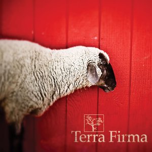 Image for 'Terra Firma'