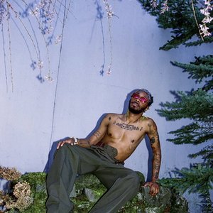 Bild für 'JPEGMAFIA'
