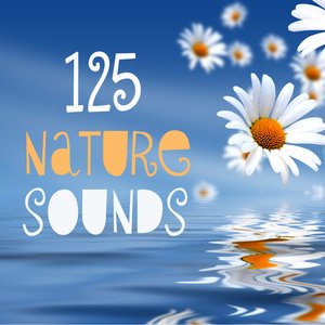 '125 Nature Sounds'の画像