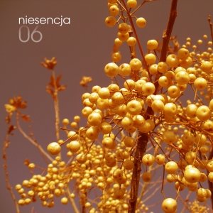 Image for 'Niesencja #06. Compilation by Netmuzyka.com.'