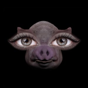 Image for 'Us and Pigs'