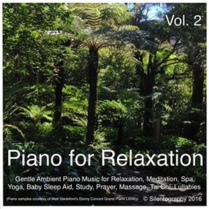 Image pour 'Piano for Relaxation, Vol. 2 (Gentle Ambient Piano Music for Relaxation, Meditation, Spa, Yoga, Baby Sleep Aid, Study, Prayer, Massage, Tai Chi, Lullabies)'