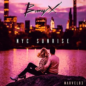 “NYC Sunrise”的封面