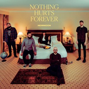 Bild för 'Nothing Hurts Forever'