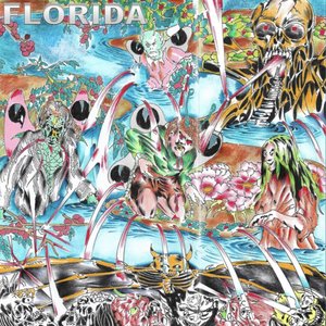 Image for 'Florida'