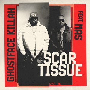 “Scar Tissue”的封面