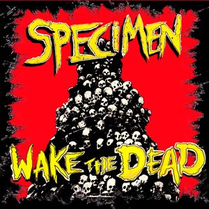 Image pour 'Wake The Dead'