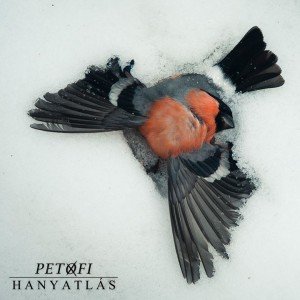 Image for 'Hanyatlás'