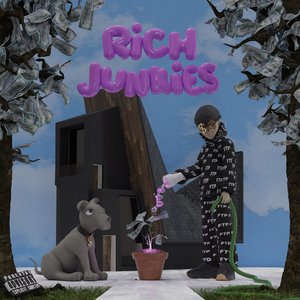 Image for 'RICH JUNKIES'