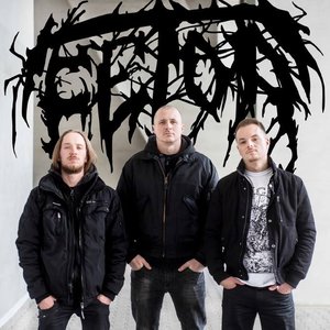 “Fetor”的封面