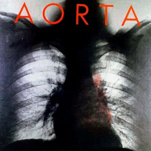 Image for 'Aorta'