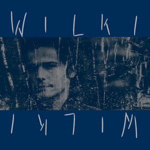 “Wilki”的封面