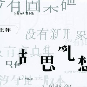 “Hu Si Luan Xiang”的封面